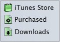 IT-:    -   iTunes